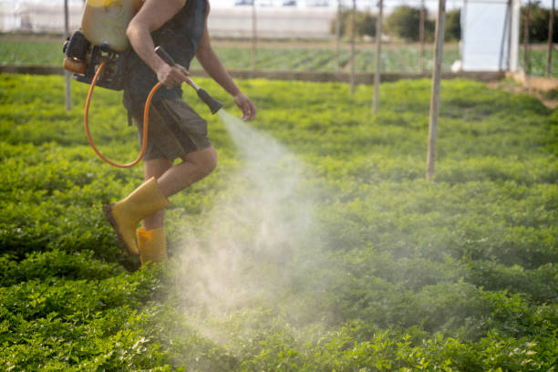 Professional Pest Control in Atwood, IL