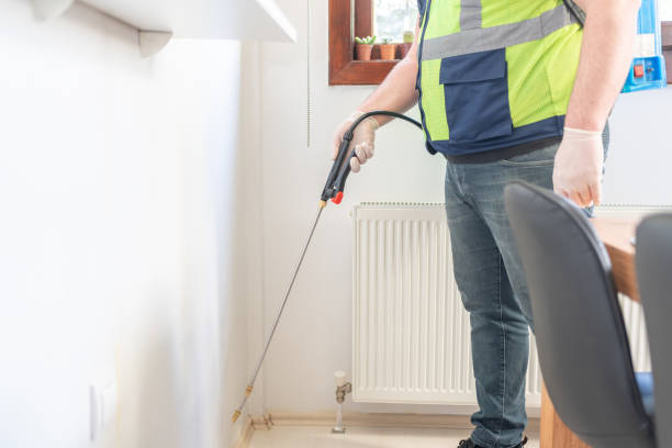 Best Termite Control Services  in Atwood, IL