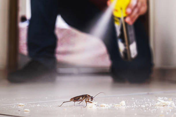 Best Commercial Pest Control Services  in Atwood, IL